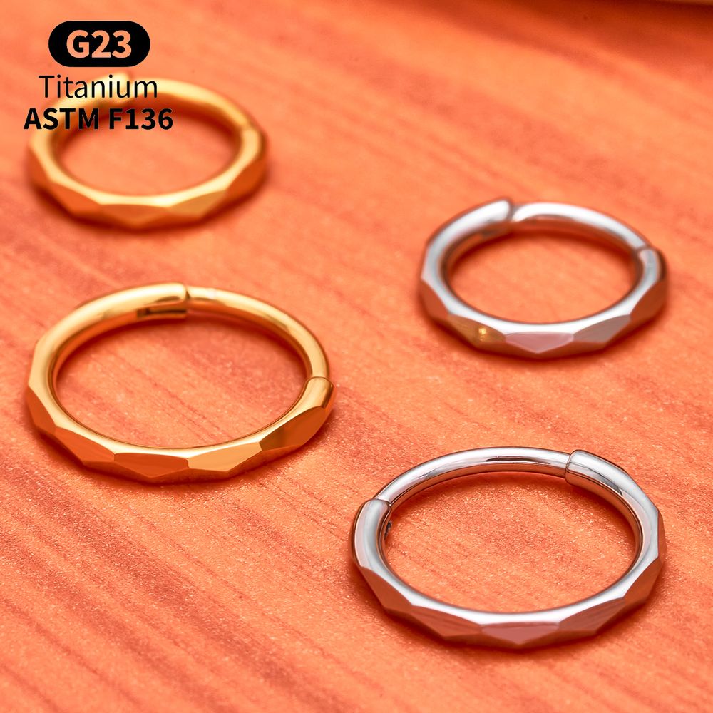 ต่างหูไทเทเนียม G23 ประดับเพชร - Conch Earring Hoop บทวิจารณ์และราคา
