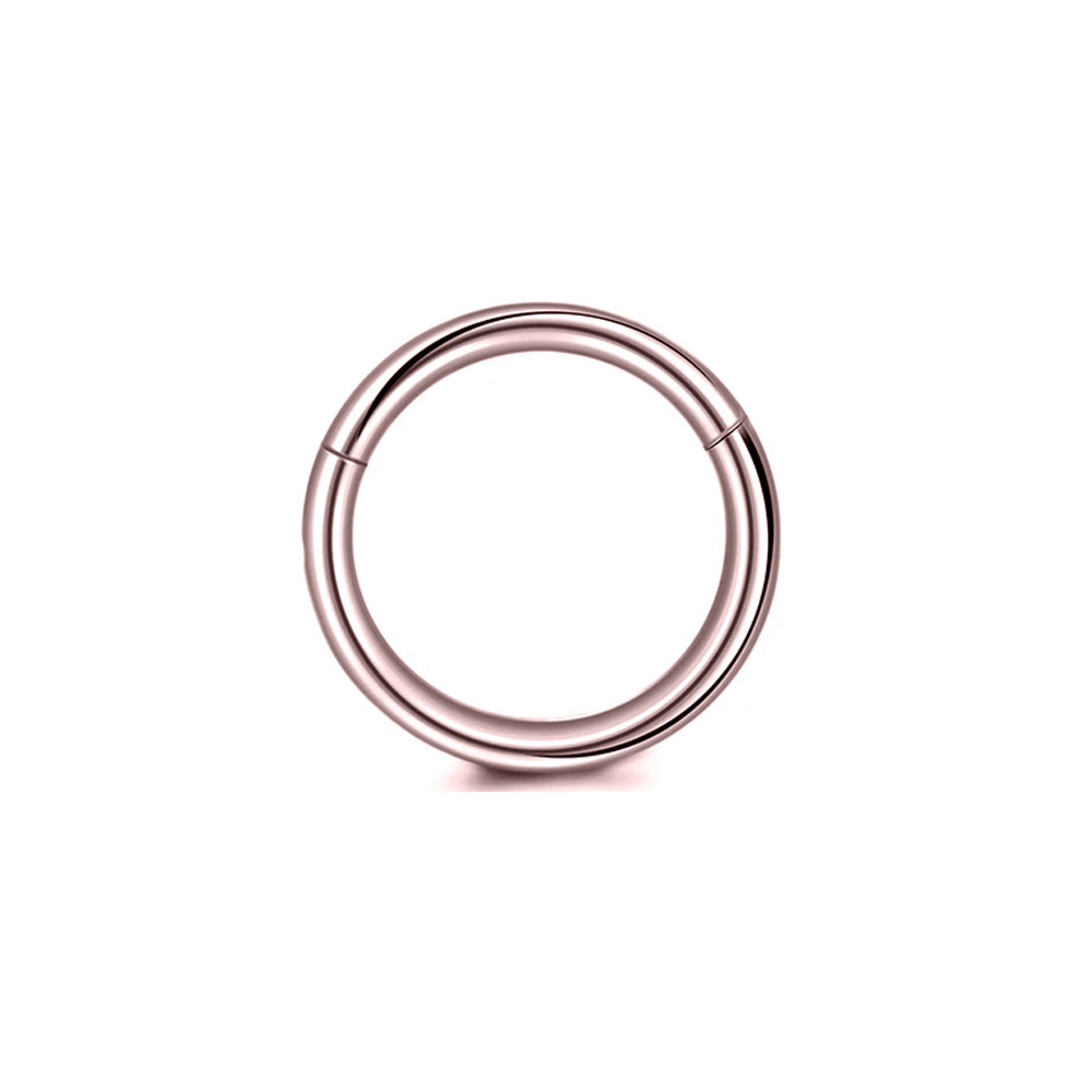 316L เหล็กผ่าตัด Clicker Segme - Conch Earring Hoop บทวิจารณ์และราคา